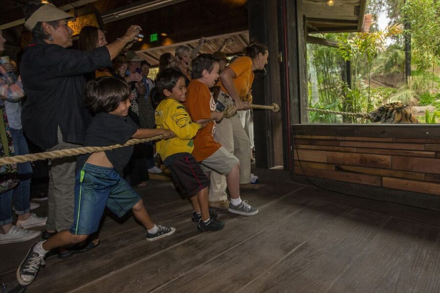 San Diego Zoo and Safari Park: 2-Day Entry Ticket - Should you book the San Diego Zoo + Safari Park 2-day entry ticket?
