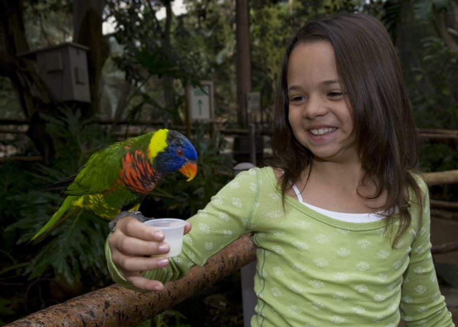 San Diego Zoo and Safari Park 2-Day Entry Ticket - How to pace your 2 days without feeling rushed