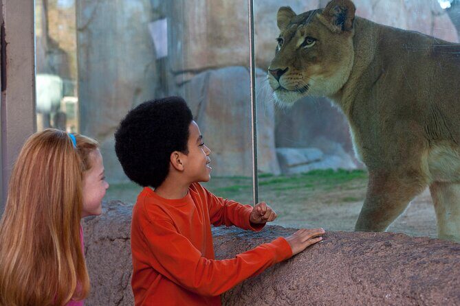 San Diego Zoo and Safari Park 2-Visit Pass Ticket - Food, parking, and the small costs that add up