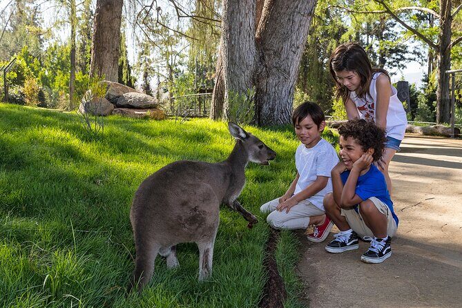 San Diego Zoo Safari Park 1-Day Pass: Any Day Ticket - Africa Exhibit Highlights: Lions, Rhinos, Giraffes, Cheetahs, and the California Condor