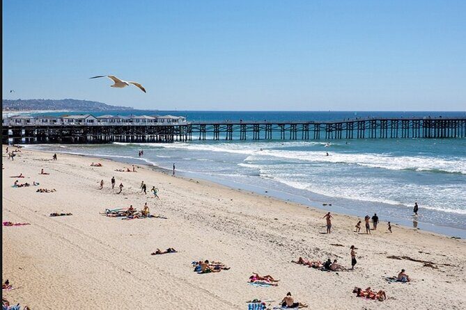 Semi-Private Surf Lesson - San Diego waves: a realistic note for true beginners