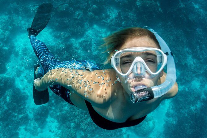 Snorkeling Adventure in La Jolla - Key highlights worth your attention