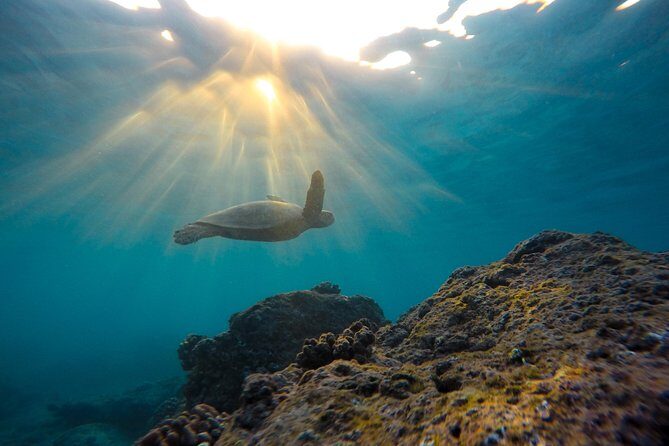 Snorkeling Adventure in La Jolla - The route in 1 hour 15: La Jolla Underwater Park to Emerald Cave
