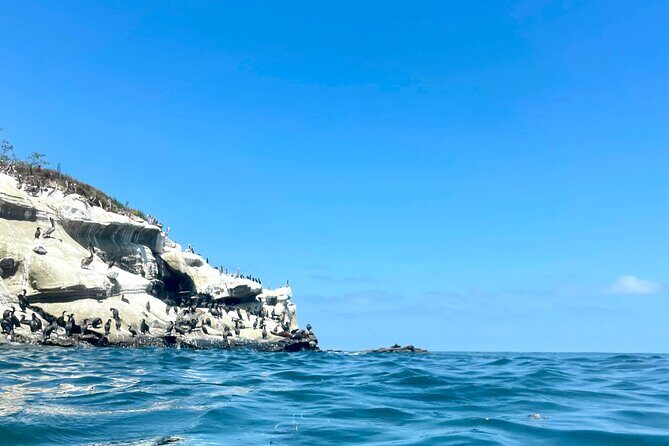 Snorkeling Adventure in La Jolla - Safety reality check: strong swimmers only, no life jackets