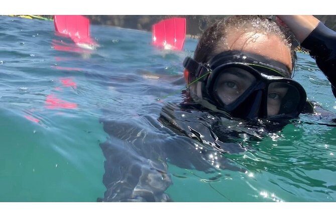 Snorkeling Adventure in La Jolla - Gear and comfort: buoyant wetsuits, included equipment, and fins