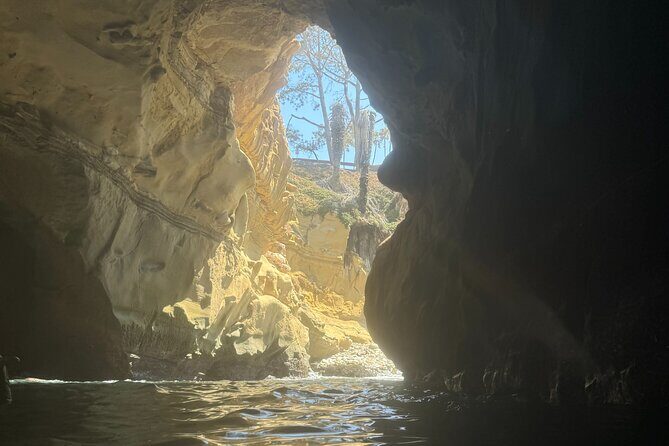 Snorkeling Adventure in La Jolla - Price and value: what you’re really paying for