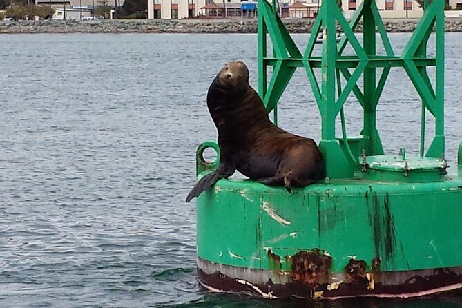 Sunset Sail Along the San Diego Skyline - Photo Spots: Getting Skyline Views Without the Hassle