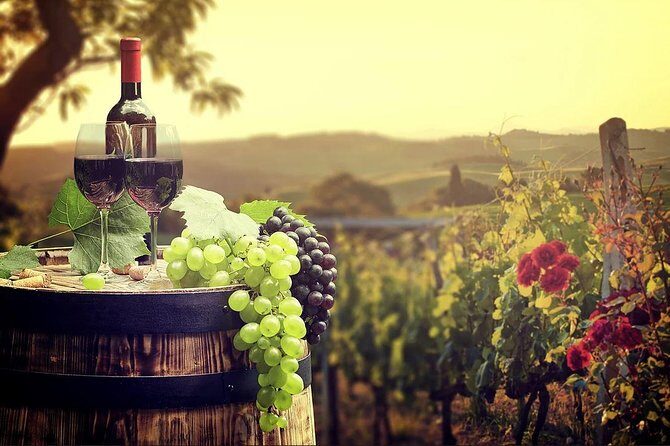 Temecula Wine Country Tour from San Diego - Value Check: What Your $279 Includes (and What It Doesn’t)