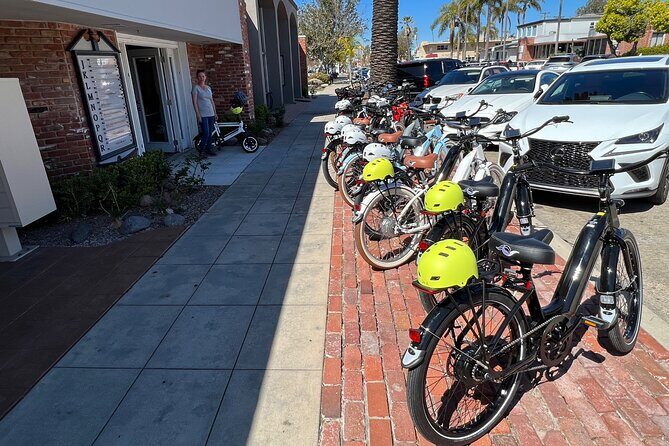 The Mount Soledad E-Bike Tour - Children’s Pool: seals, a breakwater built for kids, and a photo rule of thumb