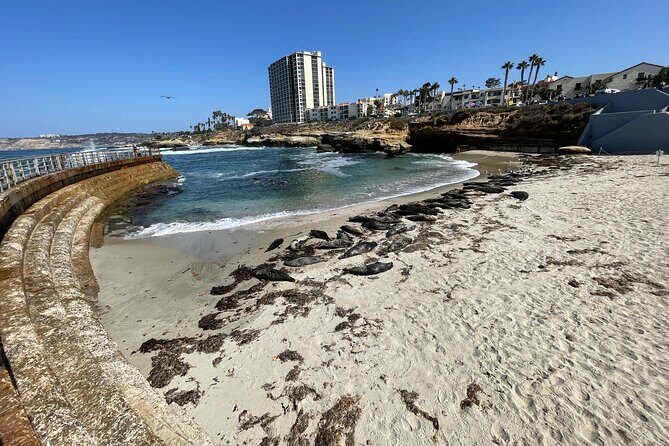 The Plunge E-Bike Tour in La Jolla - Coffee and small breaks: energy without slowing the day