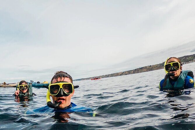 Two Hour Kayak and Snorkel Tour for Two in La Jolla - Two hours on the water in La Jolla Cove