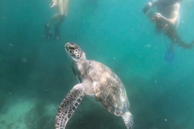 Two Hour Kayak and Snorkel Tour for Two in La Jolla - When conditions change: the swimmer requirement and rough water