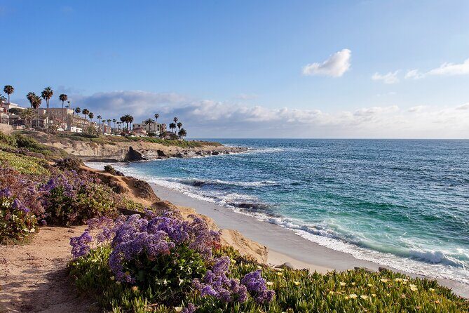 Ultimate La Jolla Self-Guided Driving & Walking Audio Tour Bundle - Children’s Pool: The Most Famous Detour on the Route