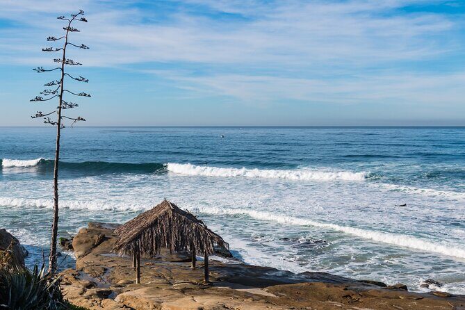 Ultimate La Jolla Self-Guided Driving & Walking Audio Tour Bundle - La Jolla Tide Pools: When the Coast Isn’t Just Pretty