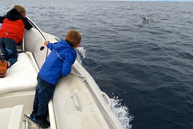 Whale and Dolphin Watching in San Diego - Should you book Offshore Blue Adventures Whale & Dolphin Tours?